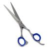 Barber Scissor